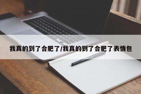 我真的到了合肥了/我真的到了合肥了表情包